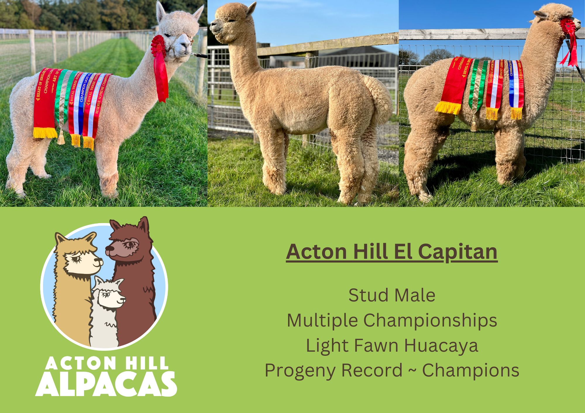 Acton Hill El Capitan
